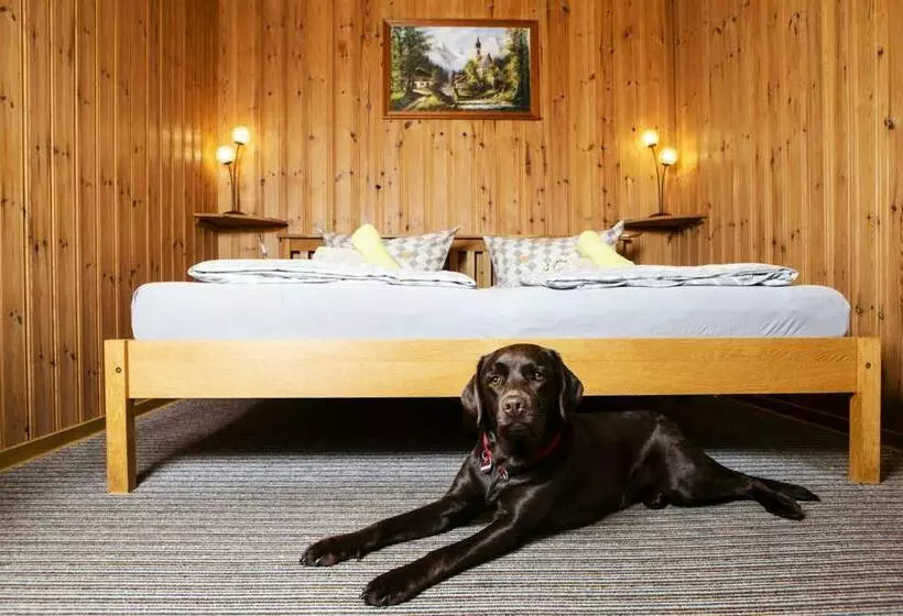 Pension Haus Fürstenberg