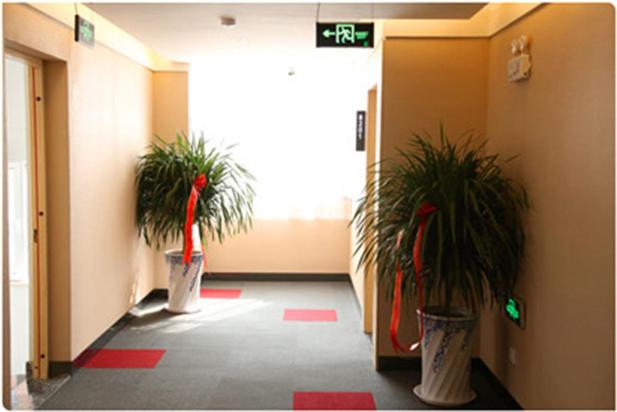 Thank Inn Chain Hotel Shandong Qingdao Huangdao District Maolongshan District