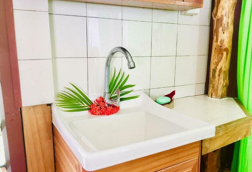 تختخواب و صبحانه Apaula Heights Lounge