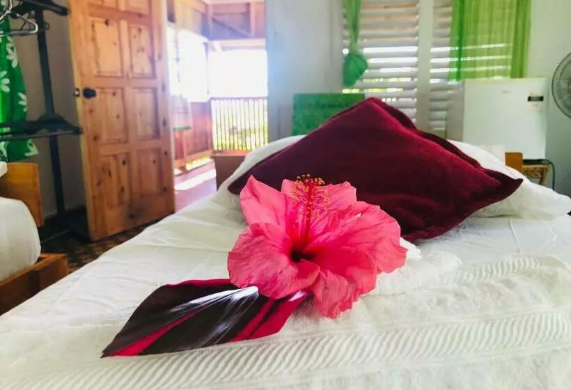 تختخواب و صبحانه Apaula Heights Lounge