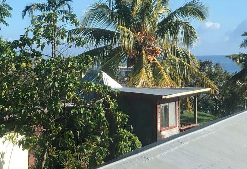 تختخواب و صبحانه Apaula Heights Lounge