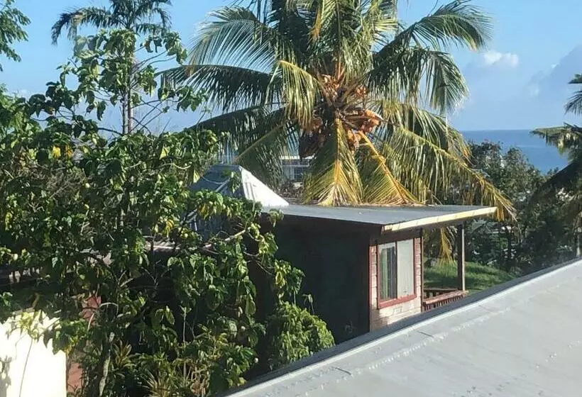 تختخواب و صبحانه Apaula Heights Lounge