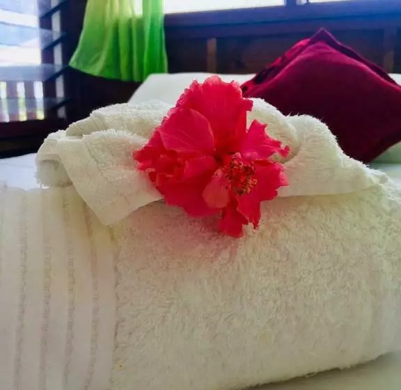 تختخواب و صبحانه Apaula Heights Lounge