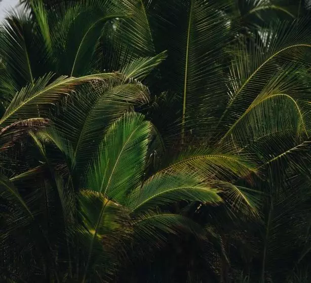 ホテル Casa Morrillo