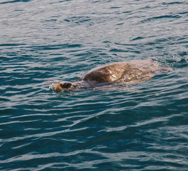 호텔 Casa Morrillo