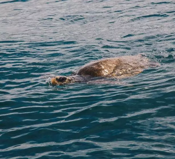 ホテル Casa Morrillo