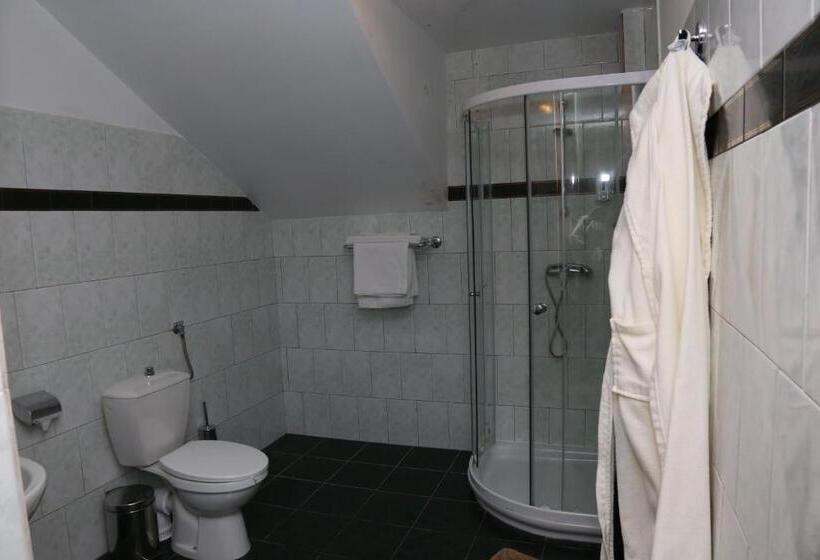 هتل Pensiunea Empire