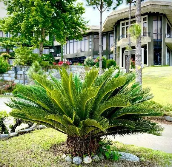 هتل Rock City Resort