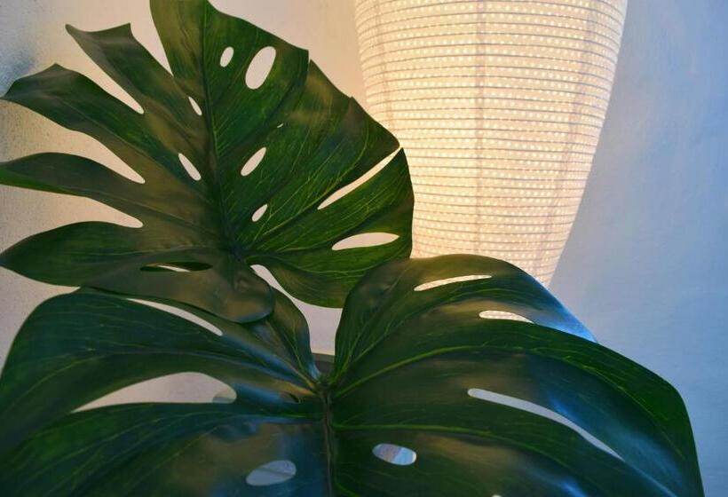 Bed and Breakfast Bnb Villa Levanta