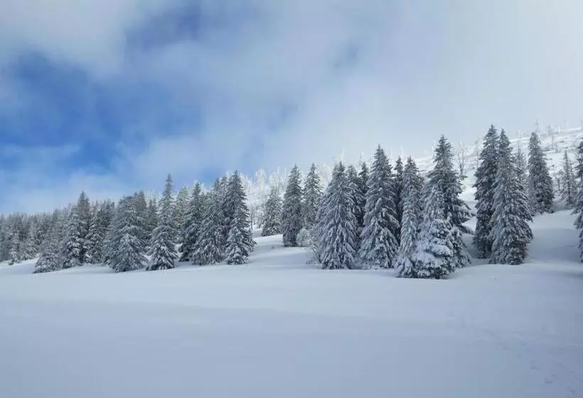 Aamiaismajoitus (B&B) Bnb Villa Levanta