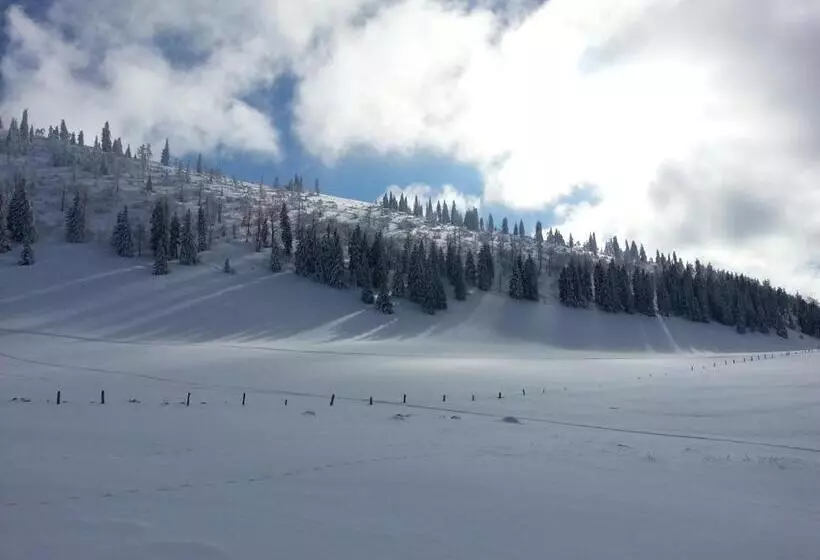 Aamiaismajoitus (B&B) Bnb Villa Levanta