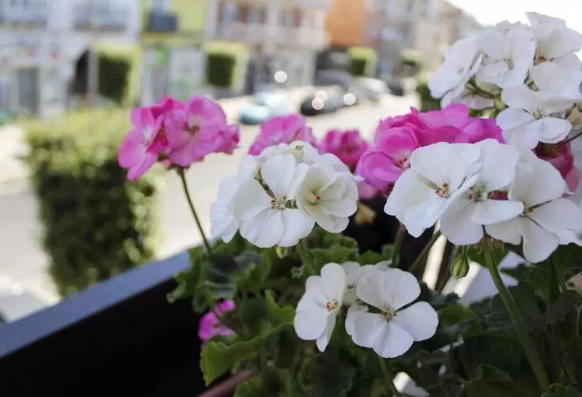 ベッドアンドブレックファースト Wisarelax