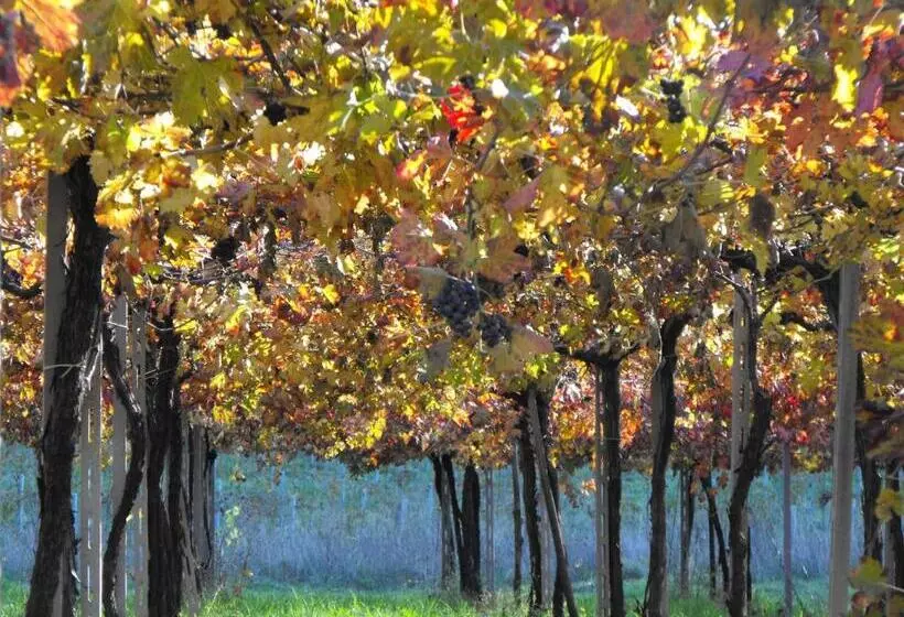 ホテル Agriturismo Fontefredda