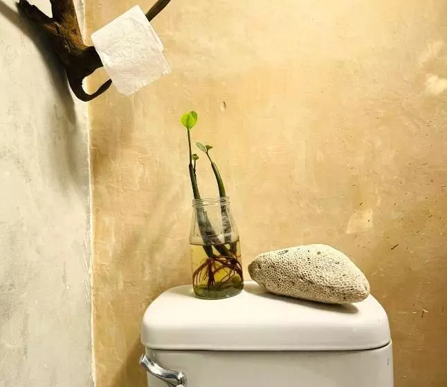 ホテル Casa Jade Ecobungalows Las Coloradas