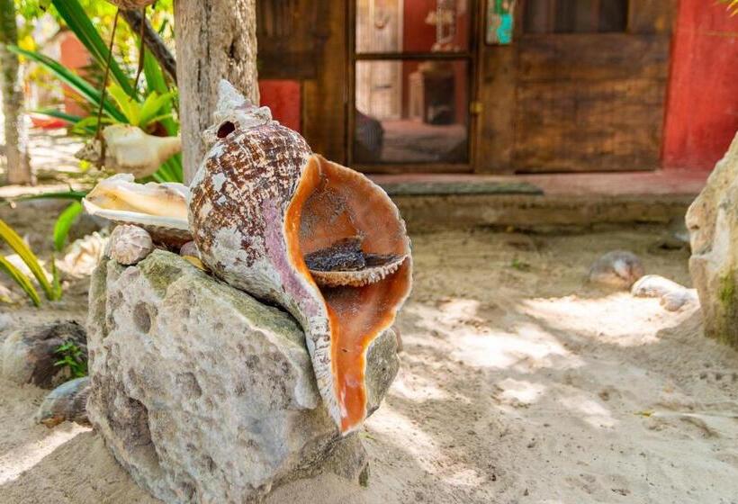 酒店 Casa Jade Ecobungalows Las Coloradas