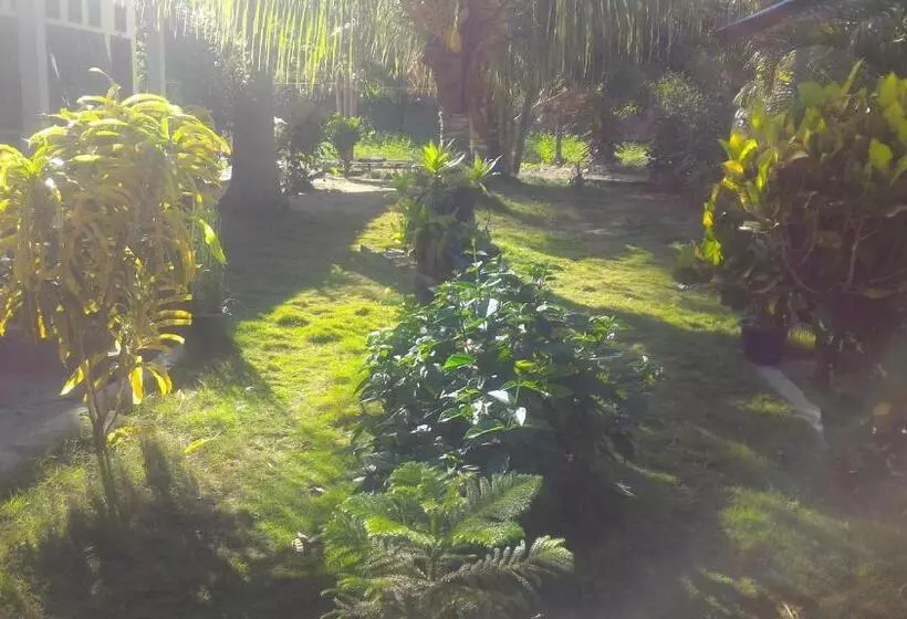 Majatalo Bintang Wisata Riung