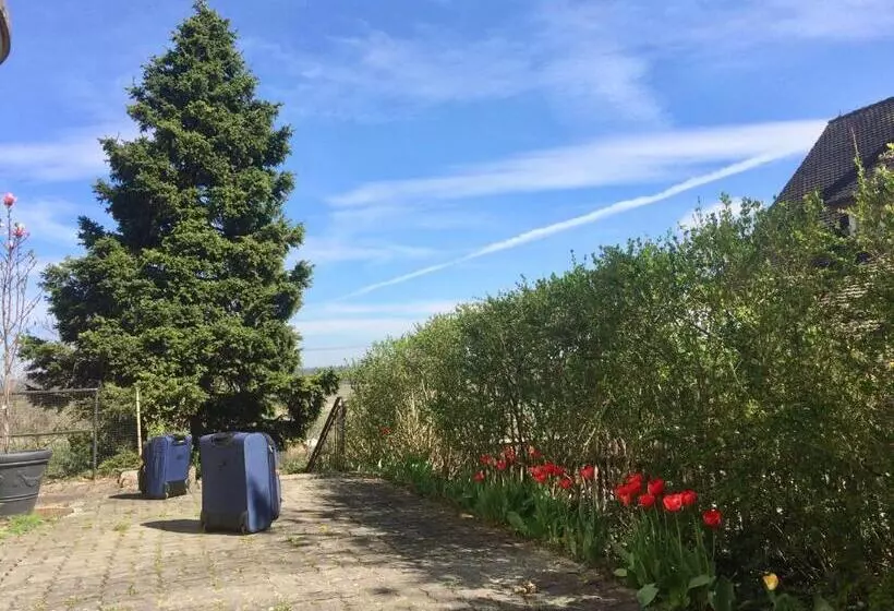 Majatalo Guntli’s Family Guesthouse