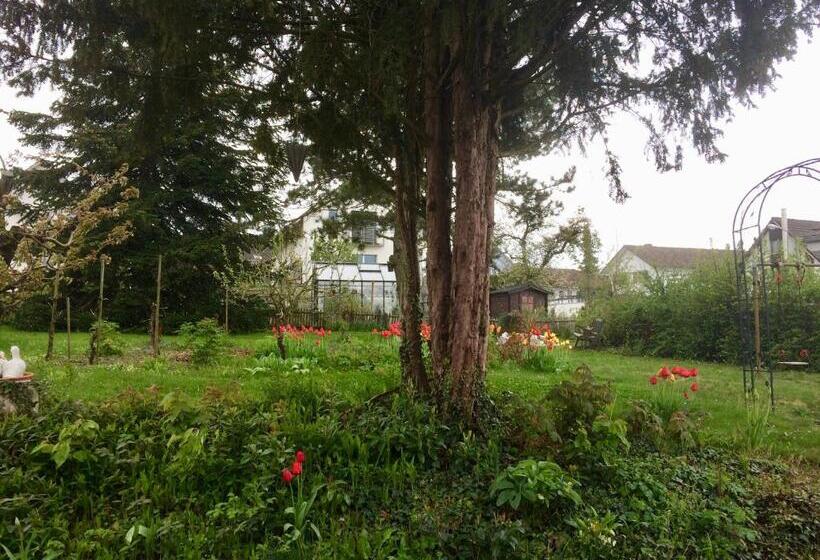 Pansiyon Guntli’s Family Guesthouse