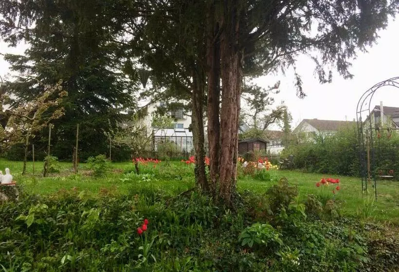 Majatalo Guntli’s Family Guesthouse