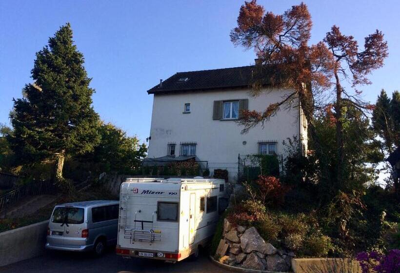 Pansiyon Guntli’s Family Guesthouse