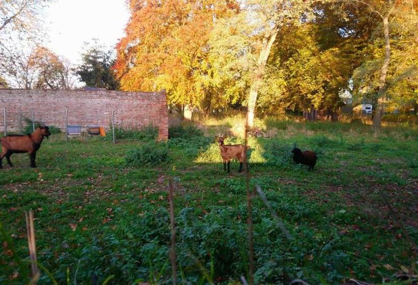 Пансион Le Jardin Des écureuils