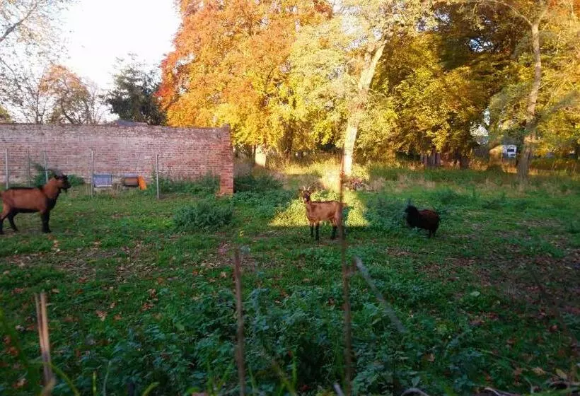 ペンション Le Jardin Des écureuils