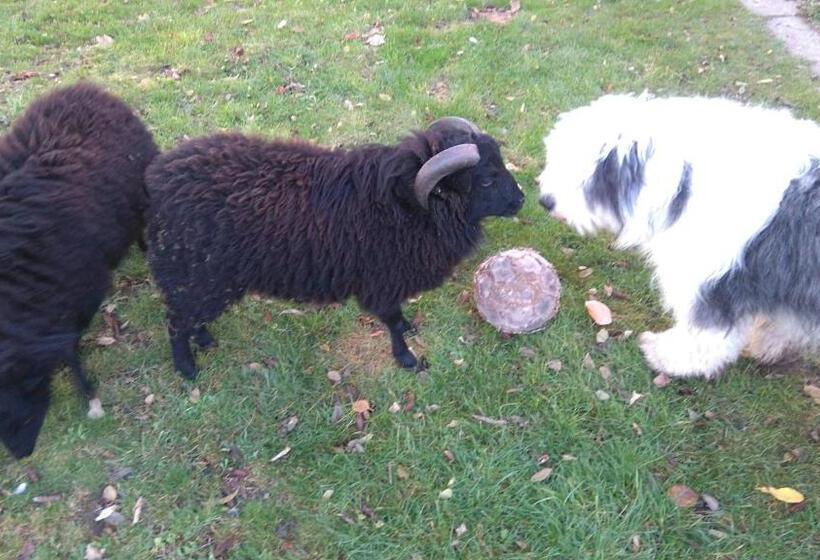 Пансион Le Jardin Des écureuils