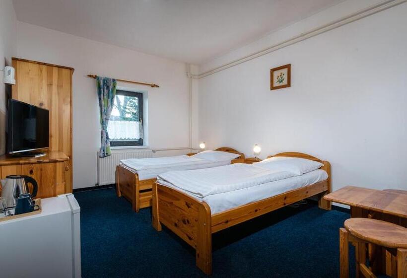 بنسيون Penzion Za Mlynom