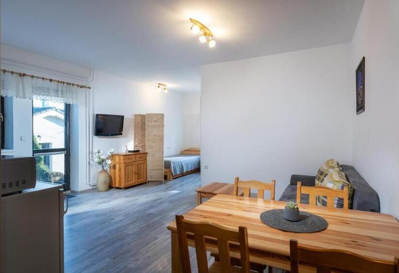 بنسيون Penzion Za Mlynom