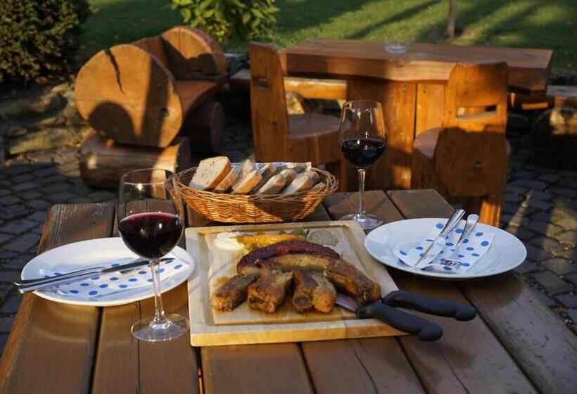 بنسيون Penzion Za Mlynom