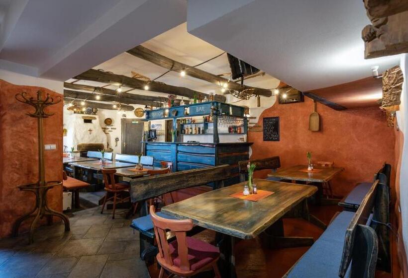 بنسيون Penzion Za Mlynom