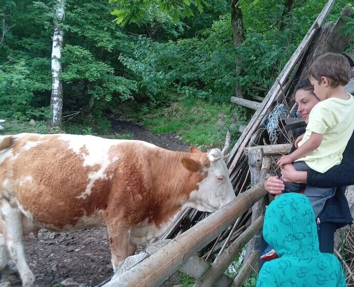 پانسیون Room In Guest Room Sejour Retreat For Family In Paradise