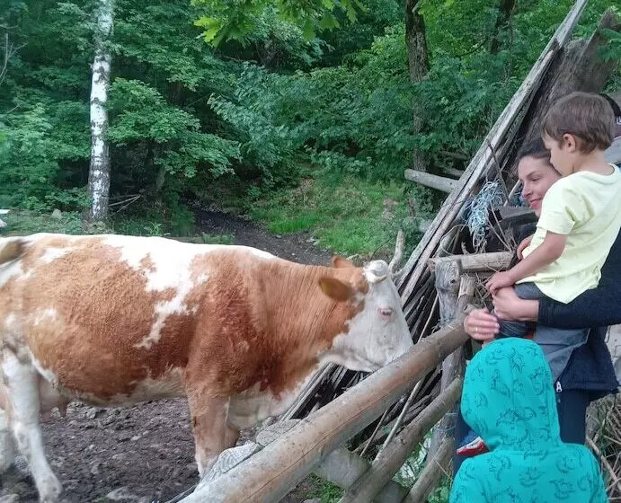 ペンション Room In Guest Room   Sejour Retreat For Family In Paradise