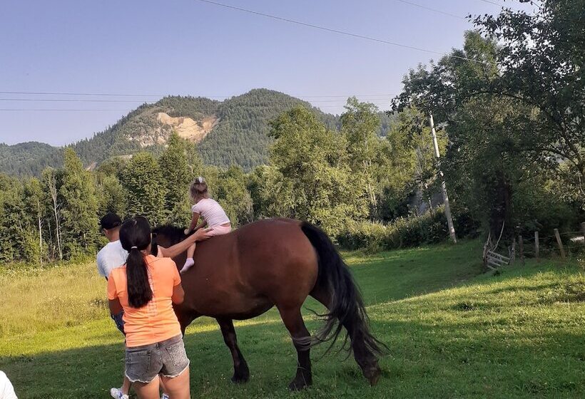 پانسیون Room In Guest Room Sejour Retreat For Family In Paradise