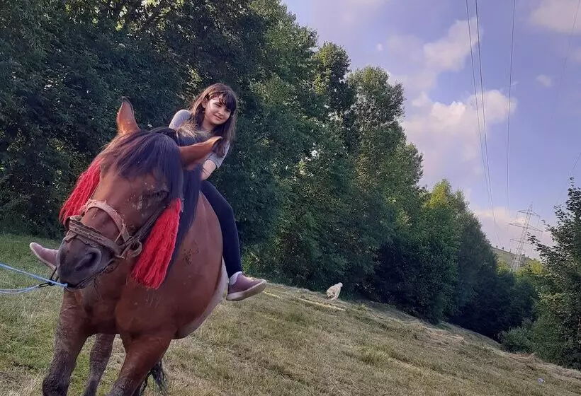 ペンション Room In Guest Room   Sejour Retreat For Family In Paradise