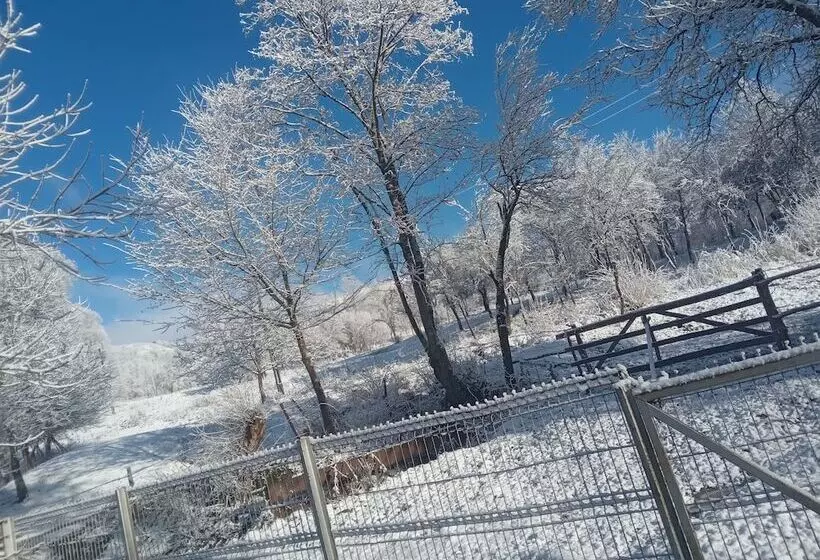 ペンション Room In Guest Room   Sejour Retreat For Family In Paradise
