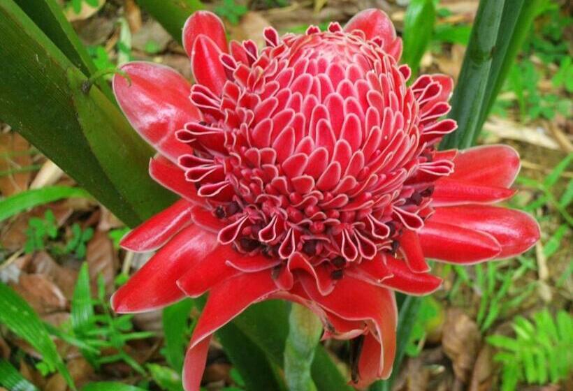 Общежитие Mirisbiris Garden And Nature Center