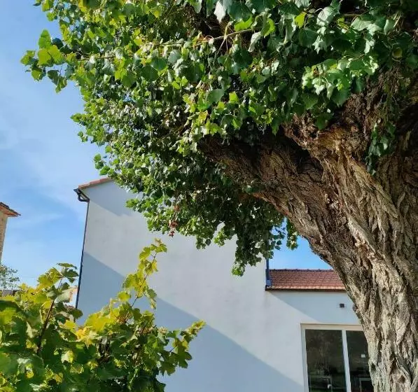 ベッドアンドブレックファースト La Casa Vecchia Bed&breakfast