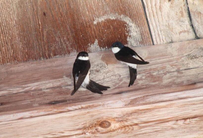 مبيت وإفطار La Chambre Aux Hirondelles