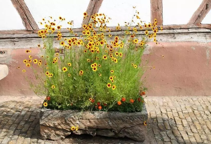 ベッドアンドブレックファースト La Chambre Aux Hirondelles