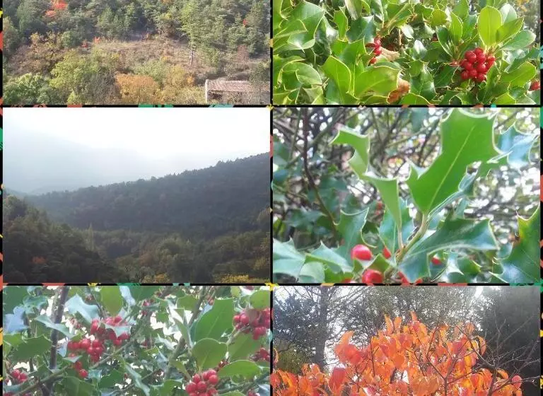 ベッドアンドブレックファースト Le Pigeonnier Chambre D Hôte