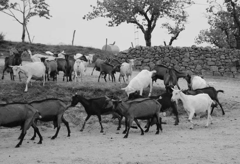 ベッドアンドブレックファースト Le Pigeonnier Chambre D Hôte