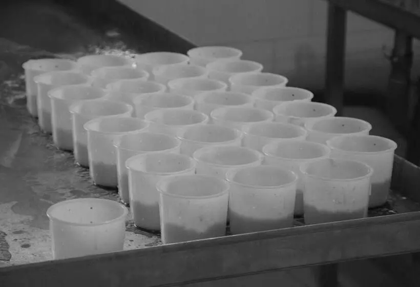 ベッドアンドブレックファースト Le Pigeonnier Chambre D Hôte