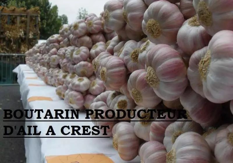 ベッドアンドブレックファースト Le Pigeonnier Chambre D Hôte