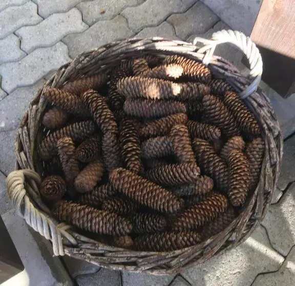 Aamiaismajoitus (B&B) Leimernhof