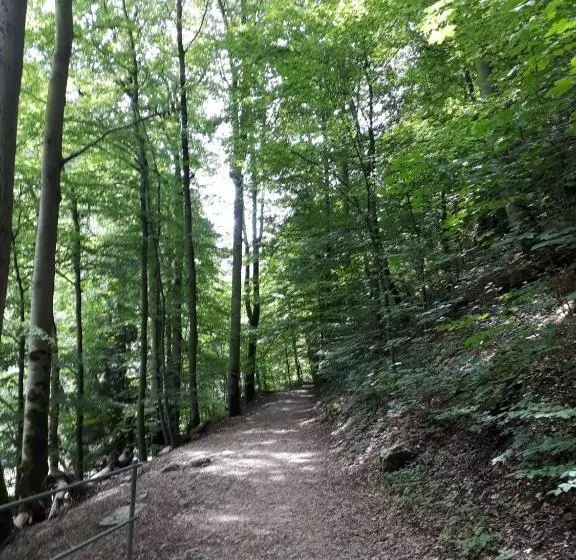 Aamiaismajoitus (B&B) Leimernhof