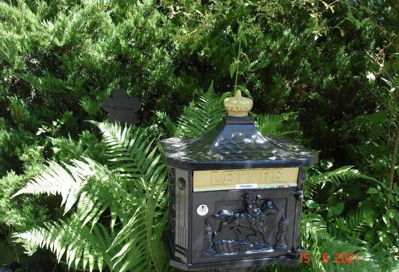 Bed and Breakfast Leimernhof