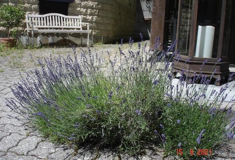 Bed and Breakfast Leimernhof