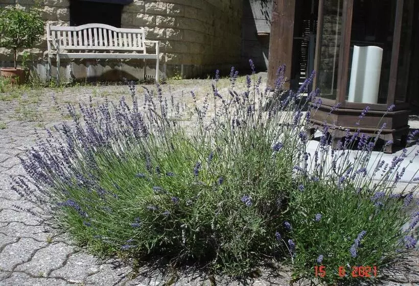 Aamiaismajoitus (B&B) Leimernhof