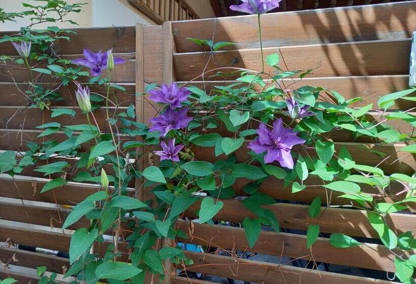 ベッドアンドブレックファースト Studio Cosy à 10 Minutes De Nîmes